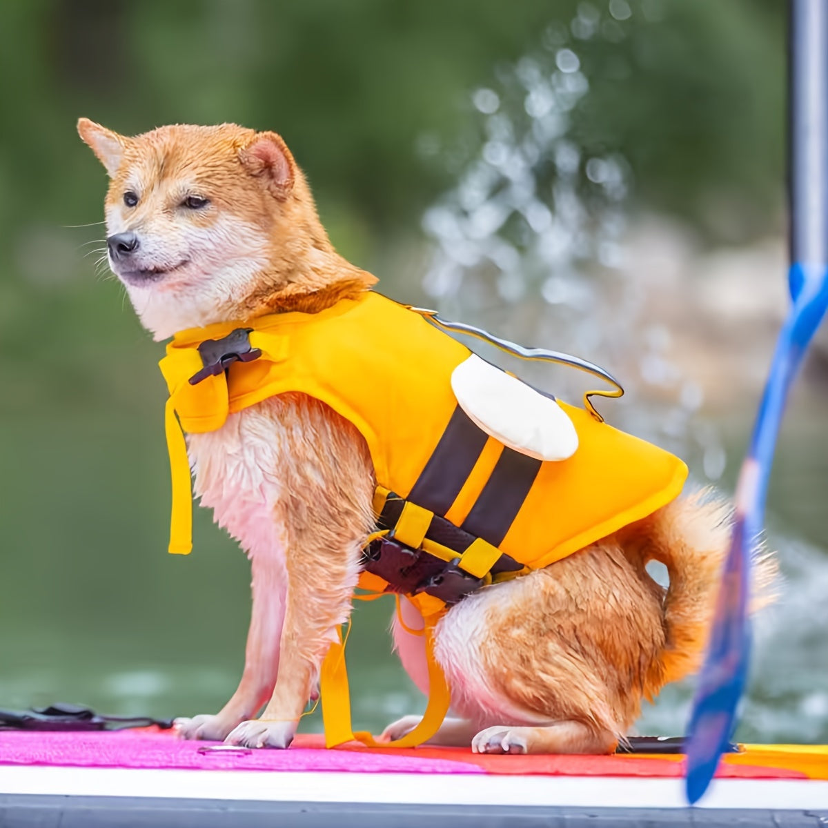 Adorable Bee-Themed Dog Life Jacket with Dinosaur Wings - Adjustable Safety Swim Vest for Small to Large Breeds, Hand-Wash Only, Dog Life Jacket for Swimming WardBoyzPROShop