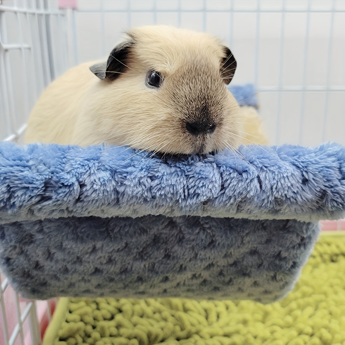 Double Layer Winter Warm Rat Hammock - Cozy Hanging Nest Bed For Guinea Pigs, Rats, And Chinchillas - Cage Accessories For Small Pets WardBoyzPROShop