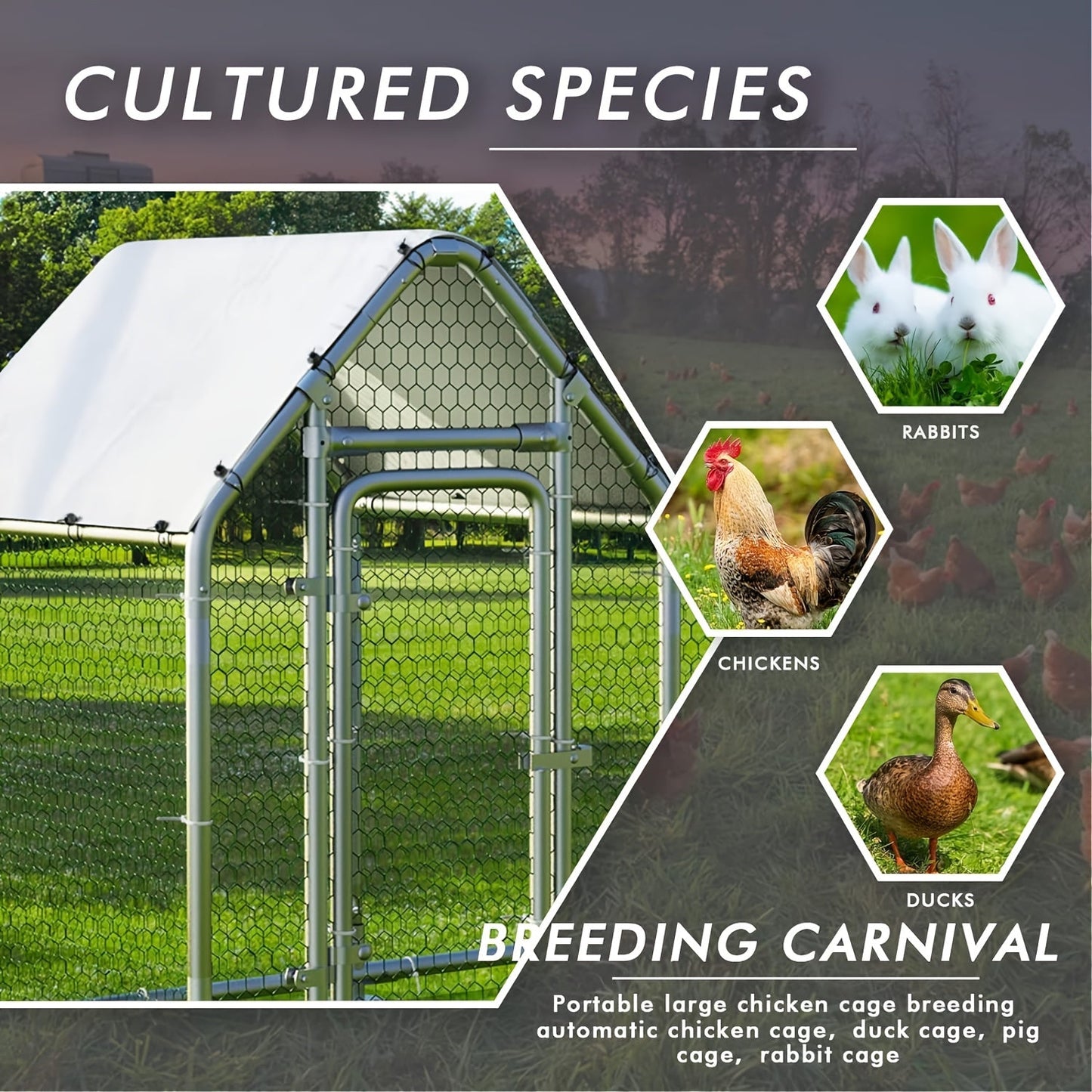 LEMBERI Large Walk-in Chicken Coop - Sturdy Galvanized Wire Poultry Pen Cage with Waterproof and Anti-Ultraviolet Cover, Spacious Interior, Easy Cleaning, and Durable Construction for Backyard, Farm, and Outdoor Use - Perfect WardBoyzPROShop