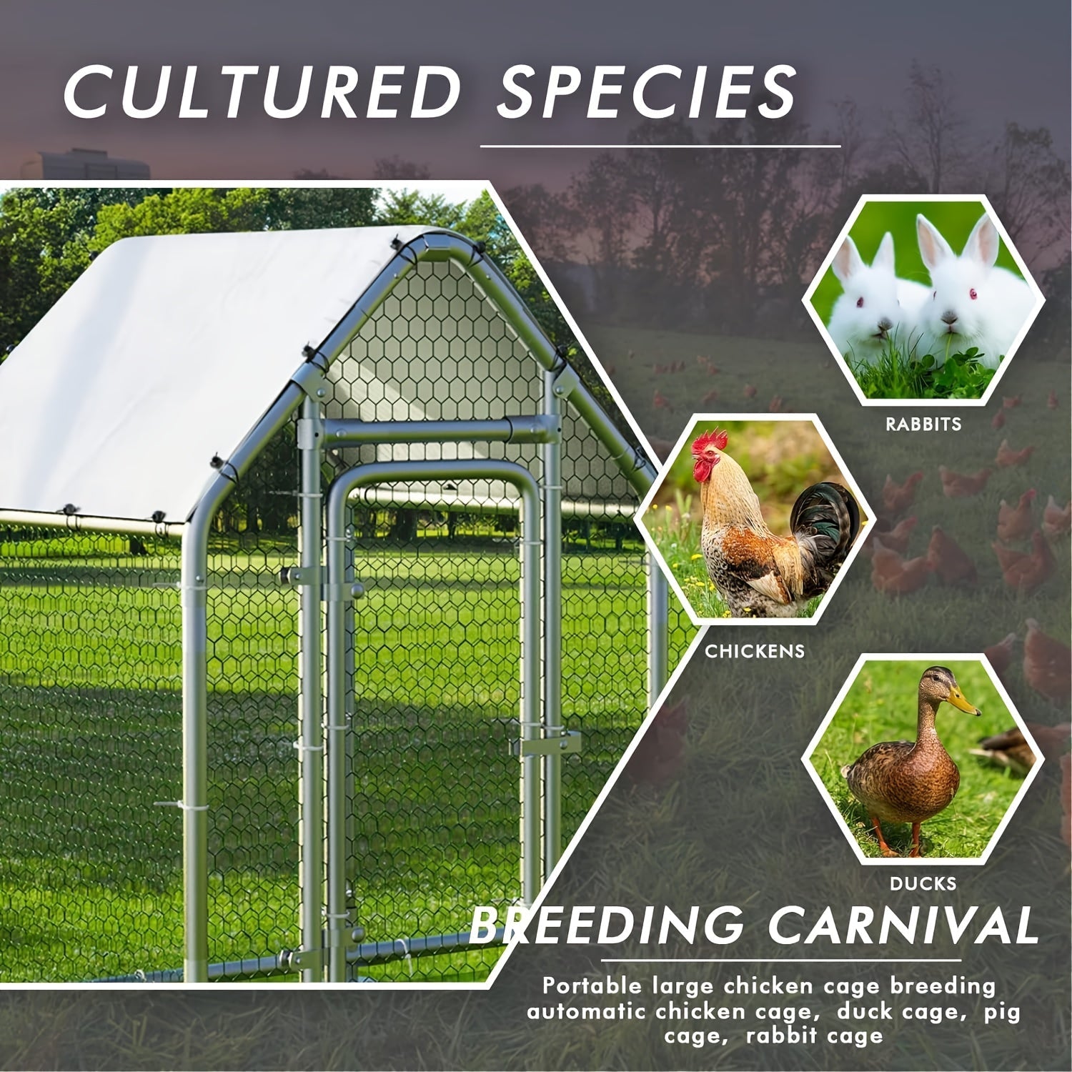 LEMBERI Large Walk-in Chicken Coop - Sturdy Galvanized Wire Poultry Pen Cage with Waterproof and Anti-Ultraviolet Cover, Spacious Interior, Easy Cleaning, and Durable Construction for Backyard, Farm, and Outdoor Use - Perfect WardBoyzPROShop