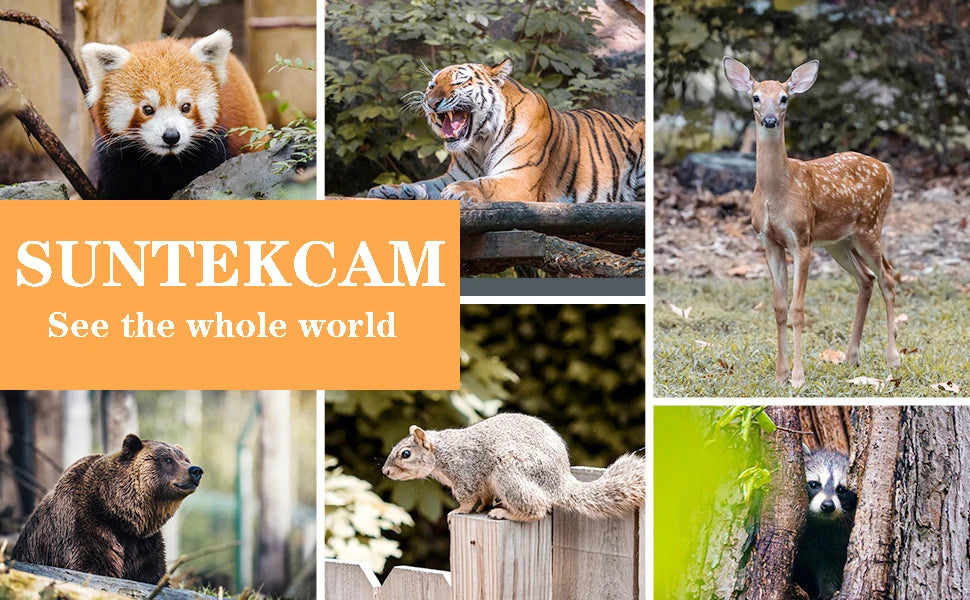 4G HD LIVE Video Lithium Battery Cellular Trail Camera 50MP 4K Wireless Game APP Cloud Service Waterproof IP66 Wildlife Cam