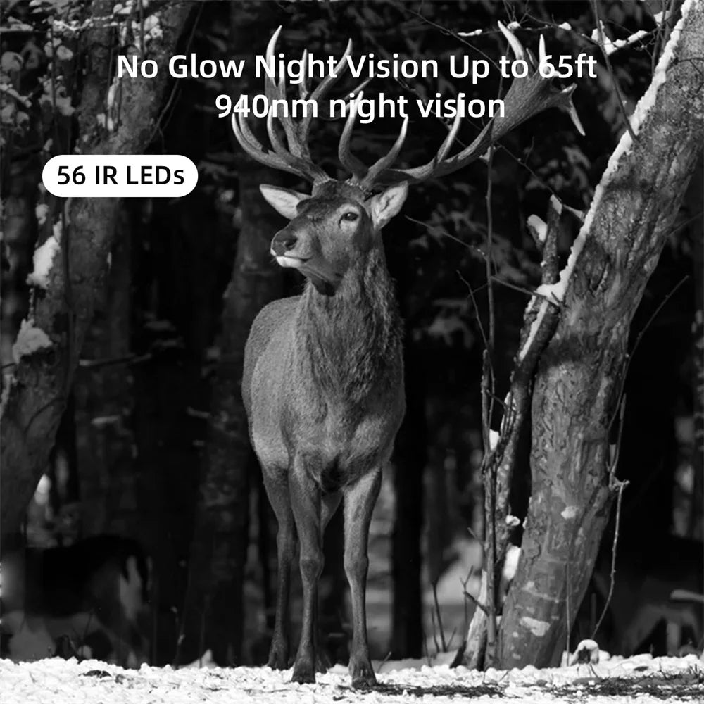 4G HD LIVE Video Lithium Battery Cellular Trail Camera 50MP 4K Wireless Game APP Cloud Service Waterproof IP66 Wildlife Cam