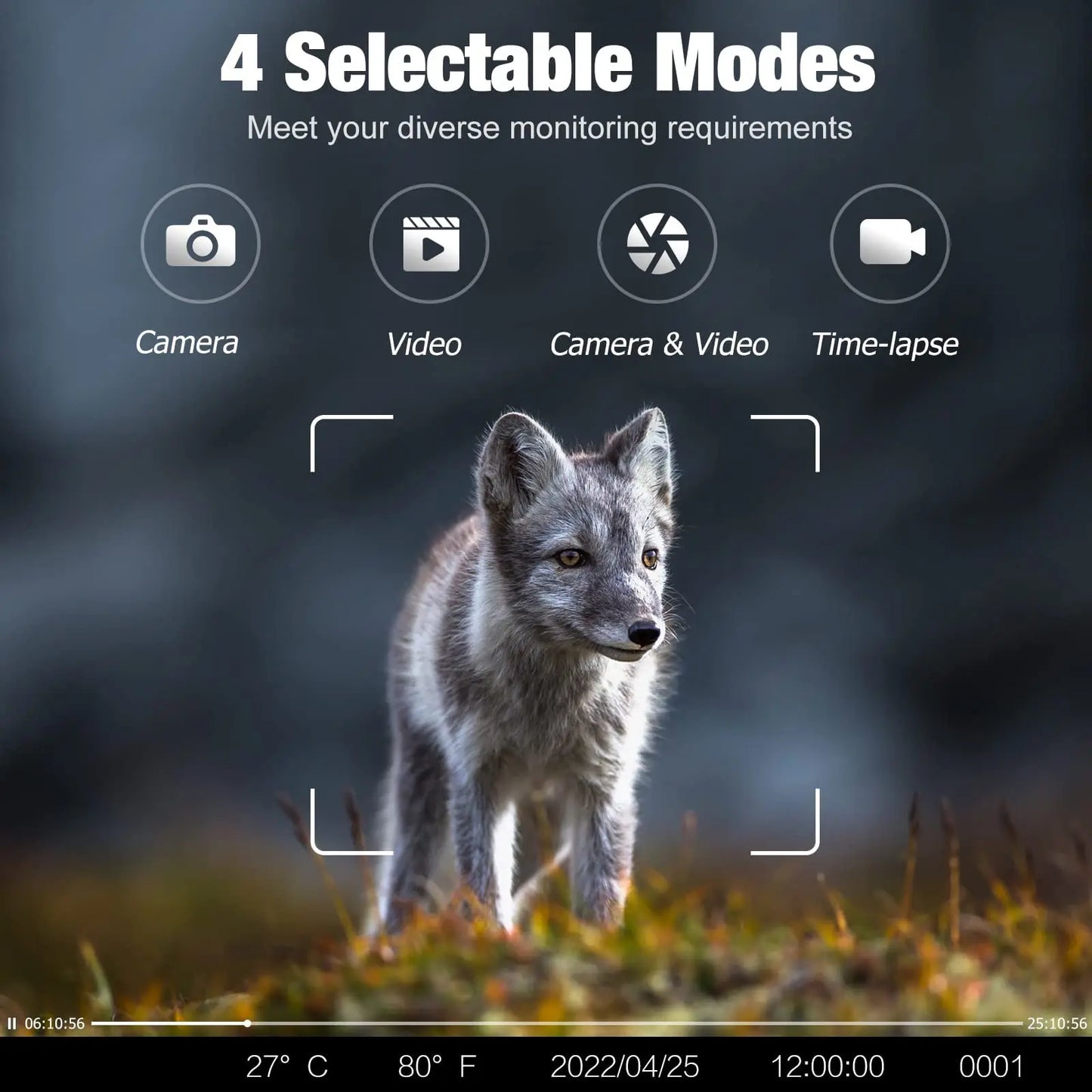 4G HD LIVE Video Lithium Battery Cellular Trail Camera 50MP 4K Wireless Game APP Cloud Service Waterproof IP66 Wildlife Cam