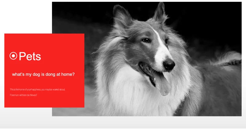 JIENUO AHD Camera Dome Security Surveillance 1080P 5MP 4K Indoor Infrared Night Vision HD 2MP CCTV Home Cam Analog TV Connection