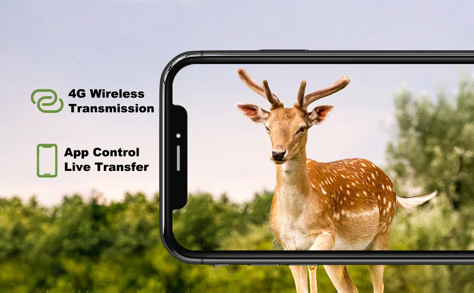 4G HD LIVE Video Lithium Battery Cellular Trail Camera 50MP 4K Wireless Game APP Cloud Service Waterproof IP66 Wildlife Cam