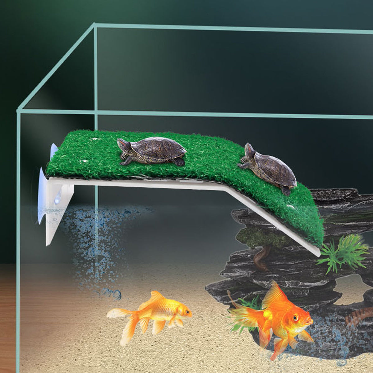 Turtle Basking Drying Resting Platform, Suction Cup Climbing Ladder, Fish Tank Decoration - WardBoyzPROShop